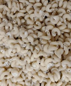 High-Fiber Sourdough Corkscrew Pasta