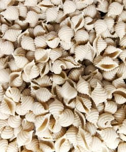 High-Fiber Sourdough Shell Pasta