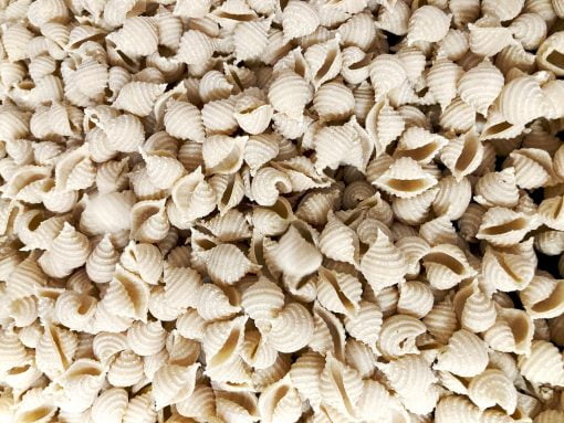 High-Fiber Sourdough Shell Pasta