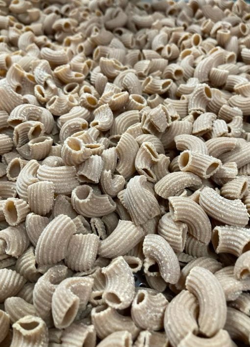 Sprouted Spelt Sourdough Macaroni Elbow Pasta