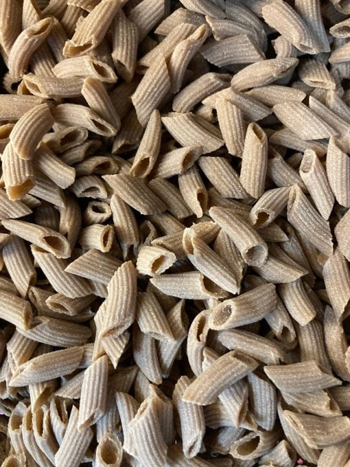 Sprouted Sourdough Penne Pasta
